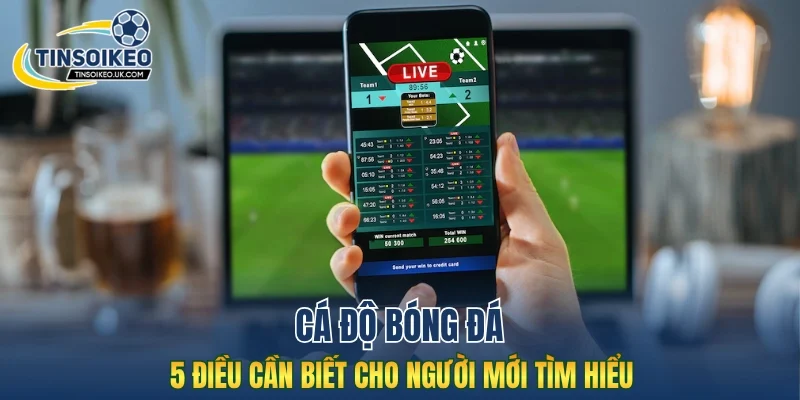 Cá độ bóng đá