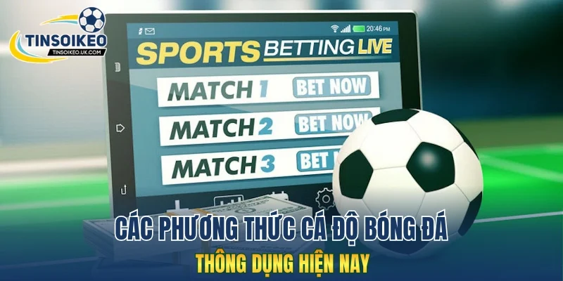 Các phương thức cá độ bóng đá thông dụng hiện. nay