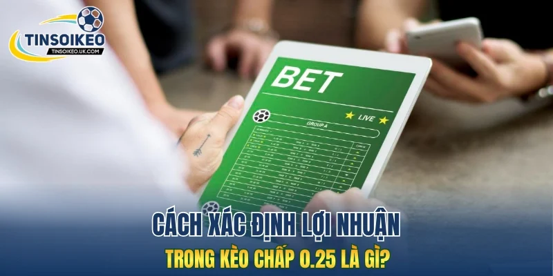Cách xác định lợi nhuận trong kèo chấp 0.25 là gì?