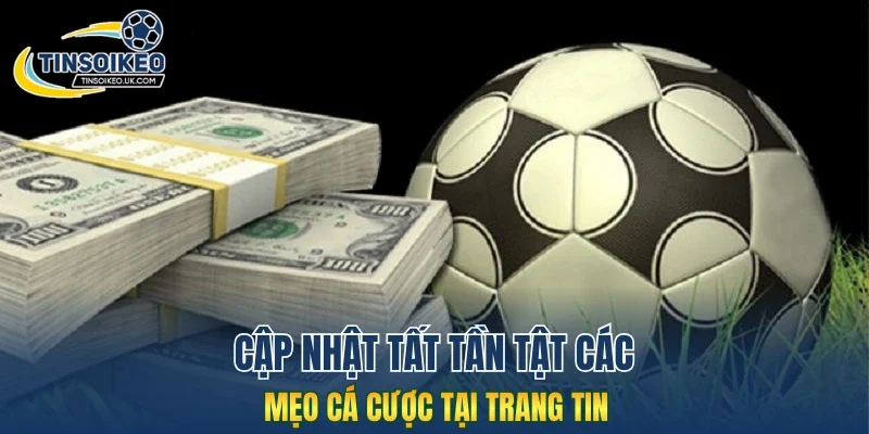 Cập nhật tất tần tật các mẹo cá cược tại trang tin