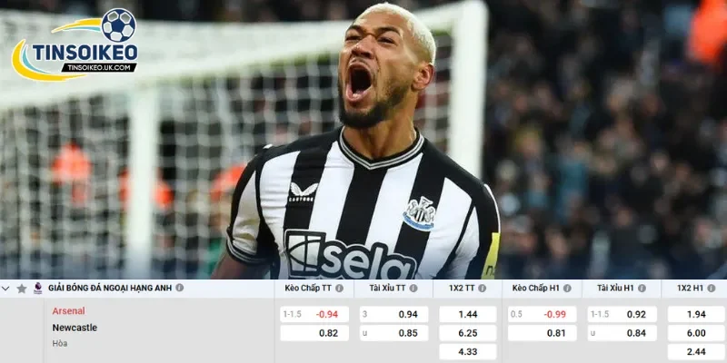 Chi tiết kèo Arsenal vs Newcastle