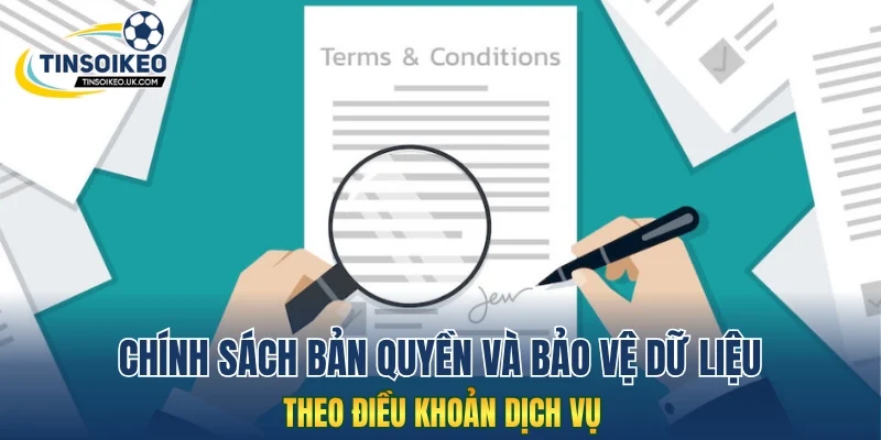 Chính sách bản quyền và bảo vệ dữ liệu theo điều khoản dịch vụ
