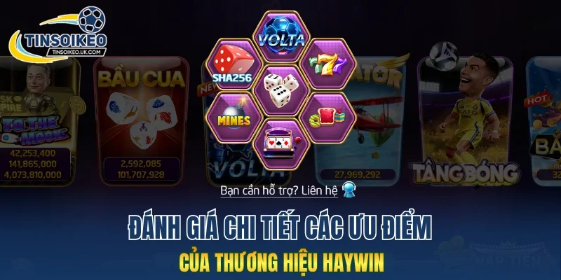Đánh giá chi tiết các ưu điểm của thương hiệu Haywin