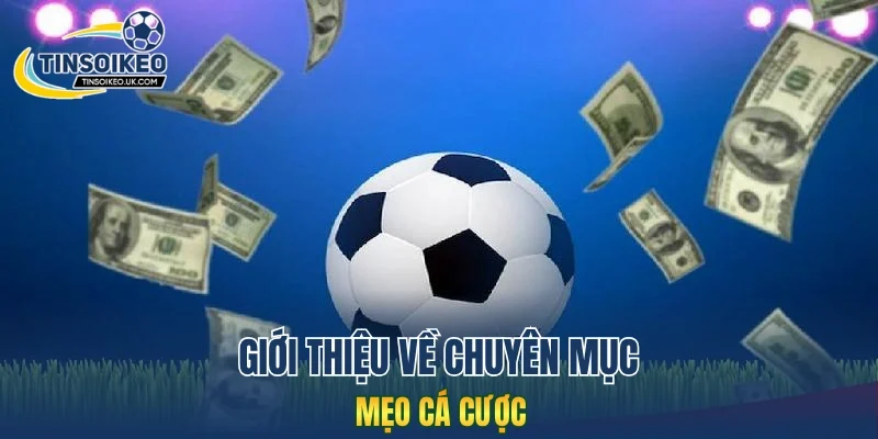 Giới thiệu về chuyên mục mẹo cá cược