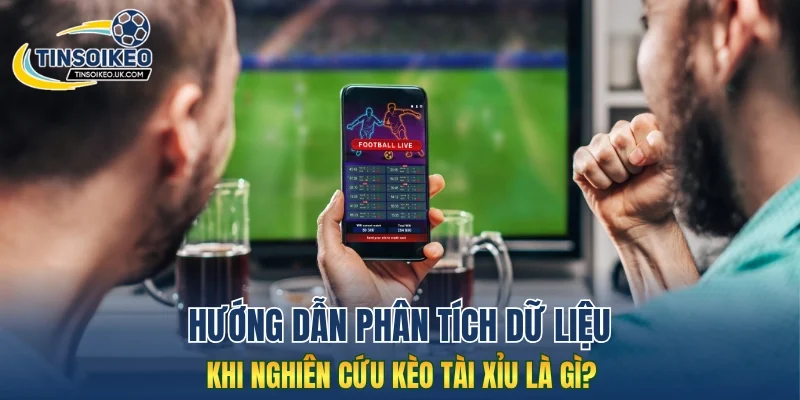 Hướng dẫn phân tích dữ liệu khi nghiên cứu kèo tài xỉu là gì?