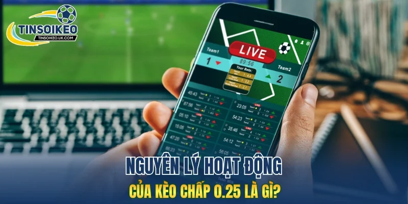 Nguyên lý hoạt động của kèo chấp 0.25 là gì?