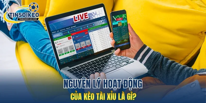 Nguyên lý hoạt động của kèo tài xỉu là gì?