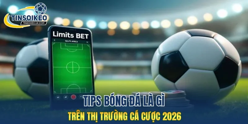 Tips bóng đá là gì trên thị trường cá cược 2026