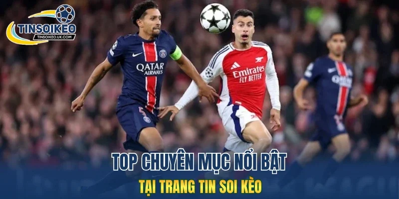 Top chuyên mục nổi bật tại trang tin soi kèo